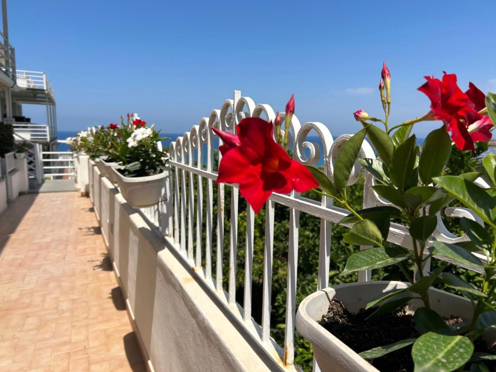 Mediterranean Boutique Hotel Tropea Extérieur photo